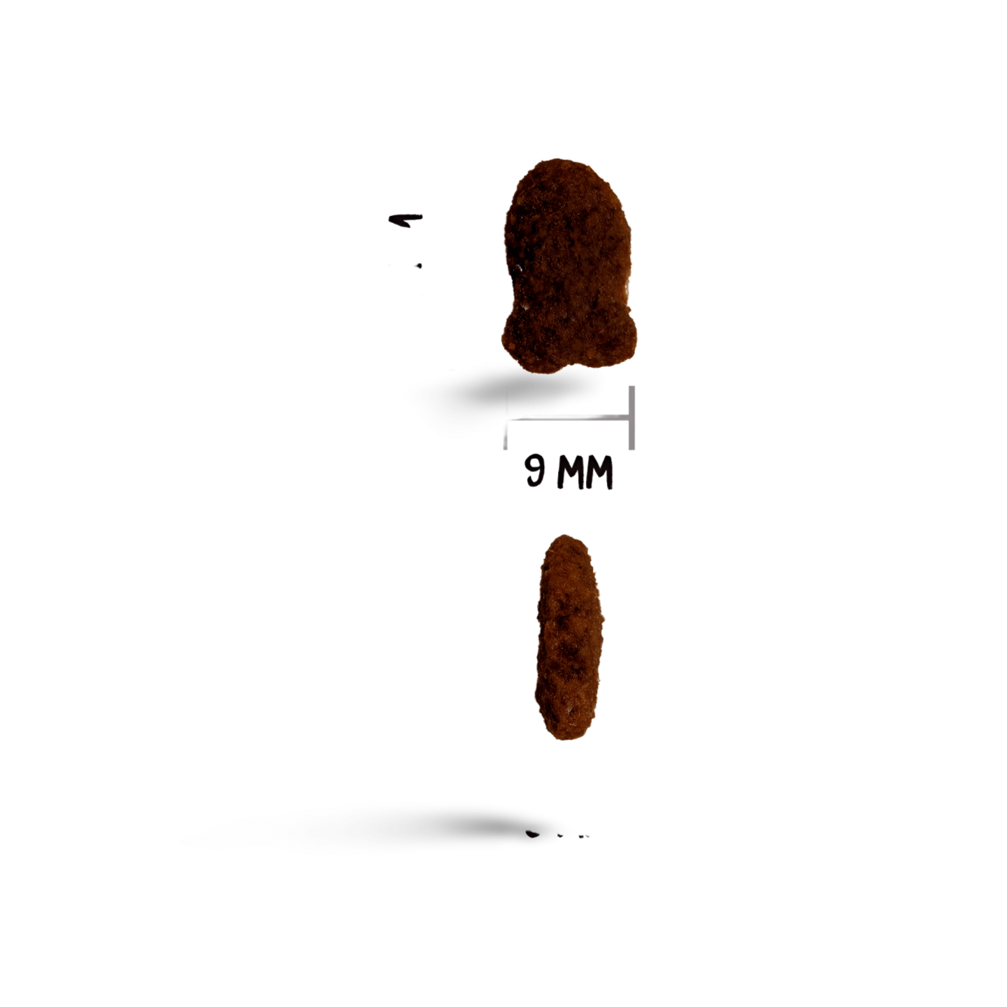 אוונט חתול בוגר דגים 4 קג