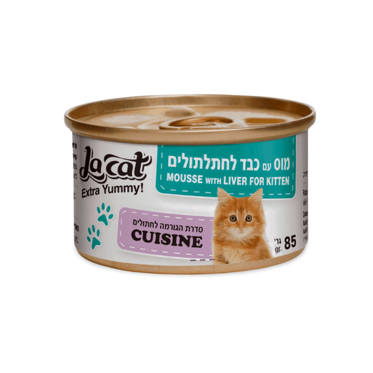 מוס כבד לחתלתולים